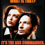 Mulder and Scully gaze to whatever,,, | MY GOSH, MULDER, WHAT IS THAT? IT'S THE ASS COMMANDER,   WE MUST OBEY,,, | image tagged in mulder and scully gaze to whatever   | made w/ Imgflip meme maker