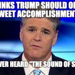 Sad Sean Hannity | THINKS TRUMP SHOULD ONLY TWEET ACCOMPLISHMENTS; HAS NEVER HEARD "THE SOUND OF SILENCE" | image tagged in sad sean hannity | made w/ Imgflip meme maker