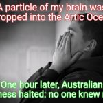 Having a hard time | A particle of my brain was dropped into the Artic Ocean; One hour later, Australian business halted: no one knew math. | image tagged in having a hard time | made w/ Imgflip meme maker