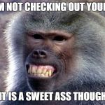 Baboon | NO I'M NOT CHECKING OUT YOUR ASS; IT IS A SWEET ASS THOUGH | image tagged in baboon | made w/ Imgflip meme maker