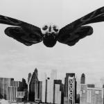 Mothra's day