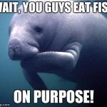 Manatee | WAIT, YOU GUYS EAT FISH; ON PURPOSE! | image tagged in manatee | made w/ Imgflip meme maker