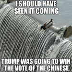 I Should Have Seen It Coming Mallard | I SHOULD HAVE SEEN IT COMING; TRUMP WAS GOING TO WIN THE VOTE OF THE CHINESE | image tagged in i should have seen it coming mallard | made w/ Imgflip meme maker