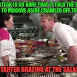 That's one tough cut of beef! | THIS STEAK IS SO RARE THAT IT TOLD THE BAKED POTATO TO MOOOVE ASIDE,CRAWLED OFF THE PLATE; AND STARTED GRAZING AT THE SALAD BAR | image tagged in gordon ramsey,steak,bbq | made w/ Imgflip meme maker