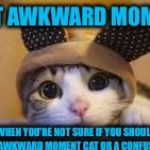 Awkward Moment Cat | THAT AWKWARD MOMENT, WHEN YOU'RE NOT SURE IF YOU SHOULD BE AN AWKWARD MOMENT CAT OR A CONFUSED CAT | image tagged in awkward moment cat | made w/ Imgflip meme maker