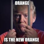 Trump in jail  | ORANGE; IS THE NEW ORANGE | image tagged in trump in jail | made w/ Imgflip meme maker