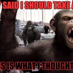 Planet of the apes | THEY SAID I SHOULD TAKE APES; THIS IS WHAT I THOUGHT OF | image tagged in planet of the apes | made w/ Imgflip meme maker