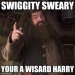 hagrid  | SWIGGITY SWEARY; YOUR A WISARD HARRY | image tagged in hagrid | made w/ Imgflip meme maker