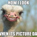 Funny Ostrich | HOW I LOOK; WHEN ITS PICTURE DAY | image tagged in funny ostrich | made w/ Imgflip meme maker