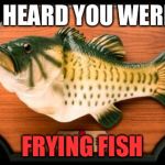 If you're gonna ask me what I'm doing with my life, it's not study. | I HEARD YOU WERE; FRYING FISH | image tagged in big mouth billy bass,fish,fried foods | made w/ Imgflip meme maker