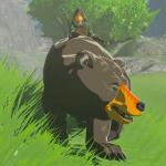 Zelda Bear