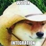 What in tarnation | WOT IN; INTEGRATION | image tagged in what in tarnation | made w/ Imgflip meme maker