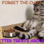 Crazy Animals | FORGET THE CHIPS; BETTER TREATS AROUND | image tagged in crazy animals,grumpy cat,funny cats,cats | made w/ Imgflip meme maker