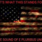 USA Flag | IT'S WHAT THIS STANDS FOR,,, THE SOUND OF E PLURIBUS UNUM | image tagged in usa flag | made w/ Imgflip meme maker