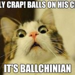 Holyshit! Balls on his chin! It's ballchinian | HOLY CRAP! BALLS ON HIS CHIN; IT'S BALLCHINIAN | image tagged in shocked cat | made w/ Imgflip meme maker