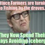 My Facebook Friend... | Lettuce Farmers are turning to Fishing by the droves... They Now Spend Their Days Avoiding Icebergs | image tagged in my facebook friend | made w/ Imgflip meme maker