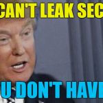 It's true... :) | YOU CAN'T LEAK SECRETS; IF YOU DON'T HAVE ANY | image tagged in trump roll safe,memes,trump,secrets,russia,politics | made w/ Imgflip meme maker