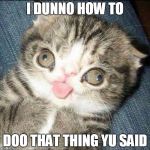 Derp Cat | I DUNNO HOW TO; DOO THAT THING YU SAID | image tagged in derp cat | made w/ Imgflip meme maker