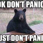 Dont Feed the Bears | OK DON'T PANIC; JUST DON'T PANIC | image tagged in dont feed the bears | made w/ Imgflip meme maker