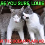 OCD Cat | ARE YOU SURE, LOUIE ? I HEAR THE OCEAN PLAIN AS DAY ! | image tagged in ocd cat | made w/ Imgflip meme maker