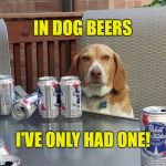 dog beer | IN DOG BEERS; I'VE ONLY HAD ONE! | image tagged in dog beer | made w/ Imgflip meme maker