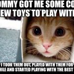 Cat in a Box | MOMMY GOT ME SOME COOL NEW TOYS TO PLAY WITH! I TOOK THEM OUT, PLAYED WITH THEM FOR AWHILE AND STARTED PLAYING WITH THE BEST TOY! | image tagged in cat in a box | made w/ Imgflip meme maker