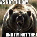 Mad Bear | TODAYS NOT THE DAY; AND I'M NOT THE ONE! NN | image tagged in mad bear | made w/ Imgflip meme maker