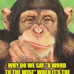chimpanzee thinking | WHY DO WE SAY "A WORD TO THE WISE" WHEN IT'S THE STUPID PEOPLE WHO NEED IT? | image tagged in chimpanzee thinking,wise,dumb,stupid,funny,funny memes | made w/ Imgflip meme maker