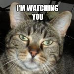 I'm Watching You | YOU; I'M WATCHING | image tagged in watching you | made w/ Imgflip meme maker