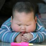 fat asian baby