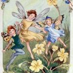 Fairy party