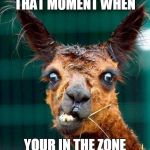 huh | THAT MOMENT WHEN; YOUR IN THE ZONE | image tagged in huh | made w/ Imgflip meme maker