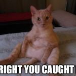 Chester The Cat | ALRIGHT YOU CAUGHT ME | image tagged in memes,chester the cat | made w/ Imgflip meme maker