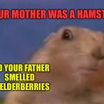 Movie one liner week - a jeffnethercot event! May 22-28. :) | YOUR MOTHER WAS A HAMSTER; AND YOUR FATHER SMELLED OF ELDERBERRIES | image tagged in dramatic prairie dog,username,movie quotes,movie one liner week,jeffnethercot may 22-28,monty python | made w/ Imgflip meme maker