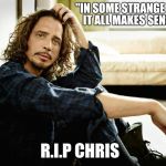Life is a sound garden | "IN SOME STRANGE WAY IT ALL MAKES SENSE "; R.I.P CHRIS | image tagged in chris cornell,memes,sound  garden,audio slave | made w/ Imgflip meme maker