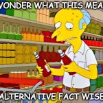 monty catsup | I WONDER WHAT THIS MEANS; ALTERNATIVE FACT WISE | image tagged in monty catsup | made w/ Imgflip meme maker