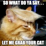 CATS - THE DONALD | SO WHAT DO YA SAY. . . LET ME GRAB YOUR CAT | image tagged in cats - the donald | made w/ Imgflip meme maker