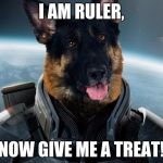 CMDR German Shepard | I AM RULER, NOW GIVE ME A TREAT! | image tagged in cmdr german shepard | made w/ Imgflip meme maker