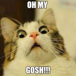 scared cat | OH MY; GOSH!!! | image tagged in scared cat | made w/ Imgflip meme maker