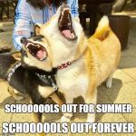 Gradumacation here I come! | SCHOOOOOLS OUT FOREVER; SCHOOOOOLS OUT FOR SUMMER | image tagged in singing doggos | made w/ Imgflip meme maker