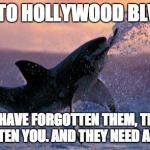 Flying Shark | COMING TO HOLLYWOOD BLVD SOON! YOU MIGHT HAVE FORGOTTEN THEM, THEY HAVEN'T FORGOTTEN YOU. AND THEY NEED A SNACK. | image tagged in flying shark | made w/ Imgflip meme maker