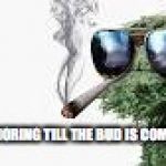 Oscar the Crouch marijuana | IT AINT MORING TILL THE BUD IS COMSUMBED | image tagged in oscar the crouch marijuana | made w/ Imgflip meme maker
