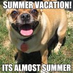 Happy Dog | SUMMER VACATION? SUMMER VACATION! ITS ALMOST SUMMER VACATION! | image tagged in happy dog | made w/ Imgflip meme maker