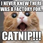 Wow | I NEVER KNEW THERE WAS A FACTORY FOR... CATNIP!!! | image tagged in wow | made w/ Imgflip meme maker