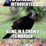 bad pun crow | I'M EXTREMELY INTROVERTED BEING IN A CROWD IS MURDER | image tagged in bad pun crow | made w/ Imgflip meme maker