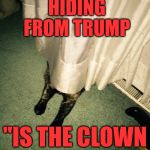 Tabby behind the curtain | JAMES COMEY HIDING FROM TRUMP; "IS THE CLOWN GONE YET" | image tagged in tabby behind the curtain | made w/ Imgflip meme maker