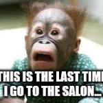 Surprised Look | THIS IS THE LAST TIME I GO TO THE SALON... | image tagged in surprised look | made w/ Imgflip meme maker