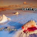 Ocean shells let go | Let it go. Let it come. | image tagged in ocean shells let go | made w/ Imgflip meme maker