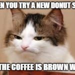 Disappointed Cat | WHEN YOU TRY A NEW DONUT SHOP; AND THE COFFEE IS BROWN WATER | image tagged in disappointed cat | made w/ Imgflip meme maker