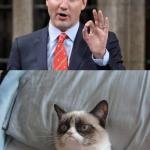 Trudeau Grumpy Cat meme